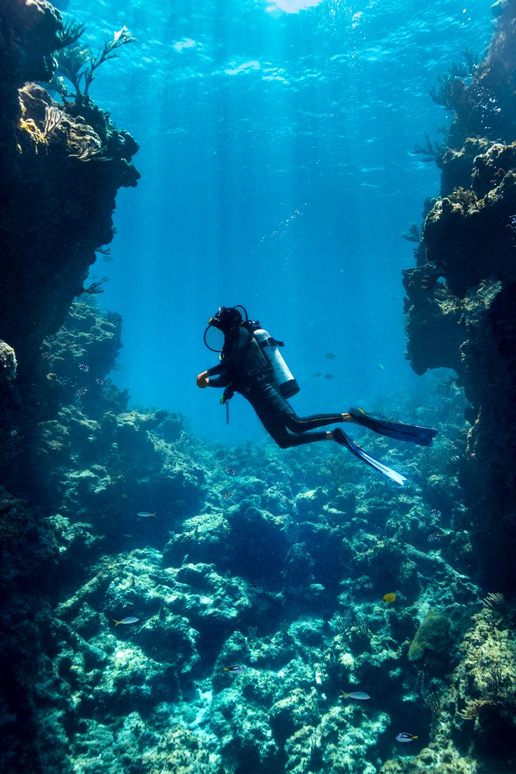 Scuba Diving